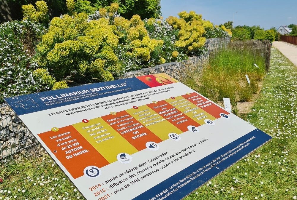 Venez découvrir le pollinarium sentinelle !